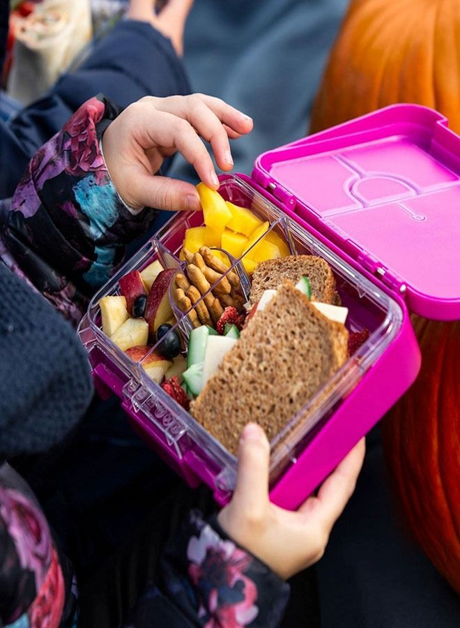Lunch Box Bento style Purple Color for Kids|4 & 6 Convertible Compartments| BPA FREE| LEAK PROOF| Dishwasher Safe | Back to School Season |Food Graded Materials| Made of Triton| Deer