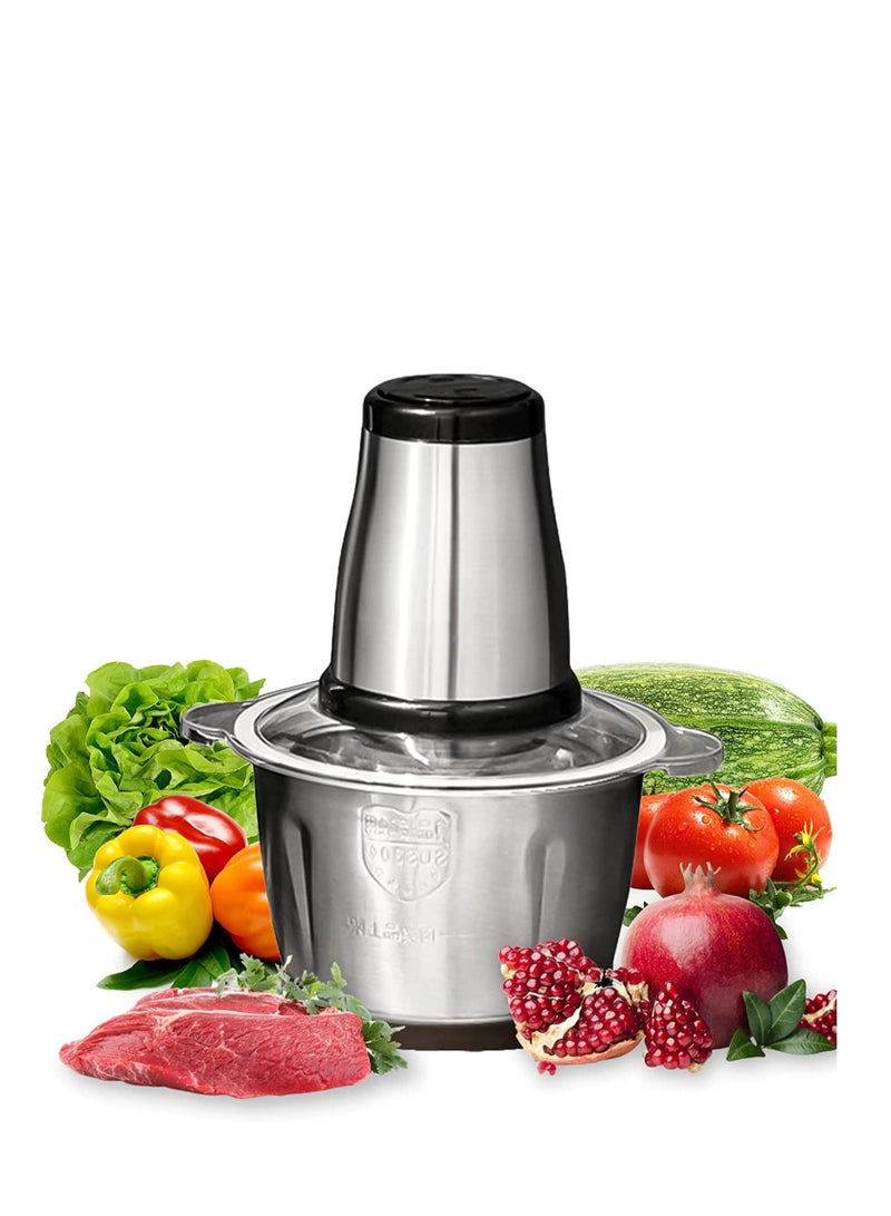 Electric Food Chopper for Meat, Vegetables, Fruits and Nuts, Stainless Steel Bowl Food Grinder