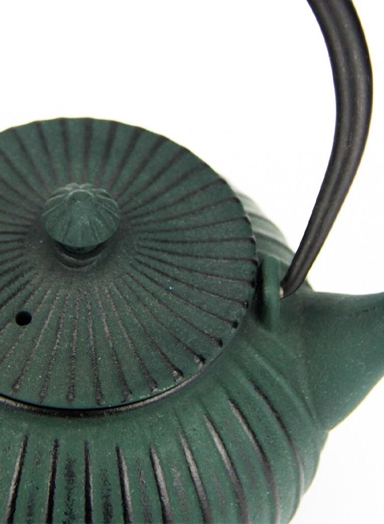 Elevate Your Tea Experience Dark Green 1.1L Cast Iron Teapot with Enamel Coating
