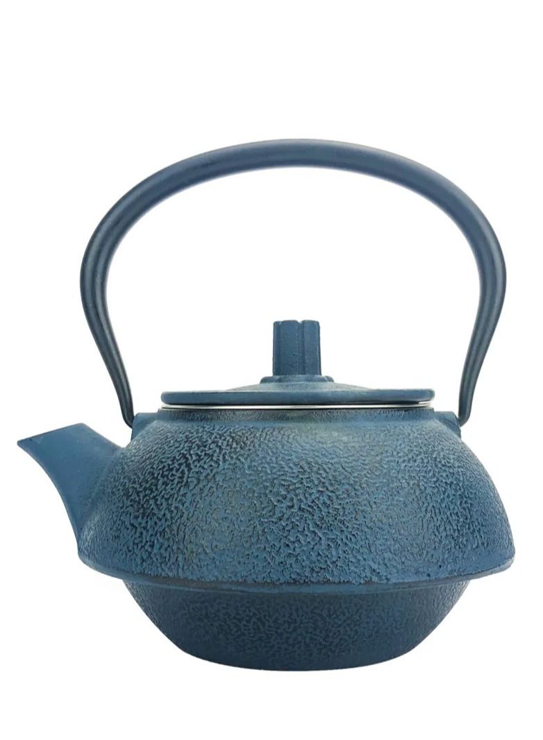 Cast Iron Teapot Coated with Enameled Interior With Stainless Steel Infuser Tea Kettle 1.0 Liter Blue