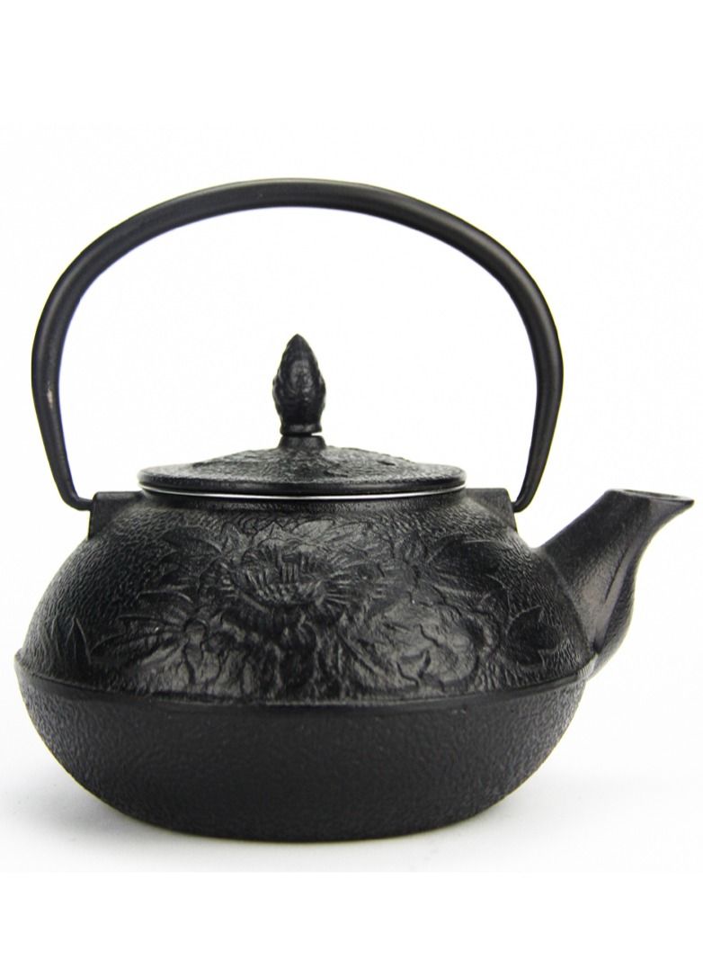 Durable Coated with Enamel Interior Cast Iron Teapot with Stainless Steel Infuser for Brewing Loose Tea Leaf 0.8 Liter Black
