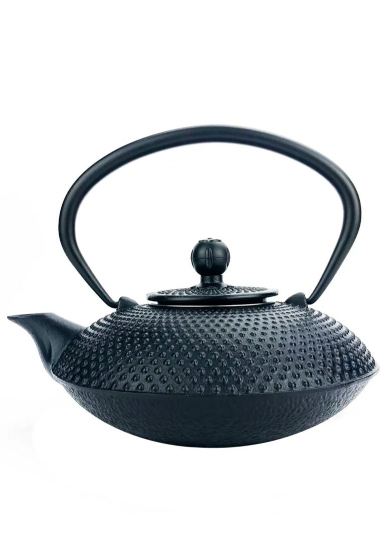 Durable Cast Iron Teapot 0.8 Black