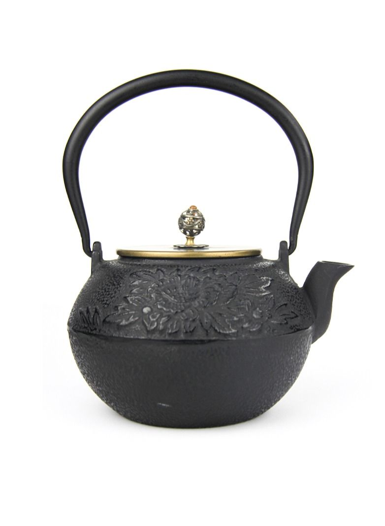 Durable Coated with Enamel Interior Cast Iron Teapot Flower  with Stainless Steel Infuser for Brewing Loose Tea Leaf (Black & Gold)  1.2 Liters