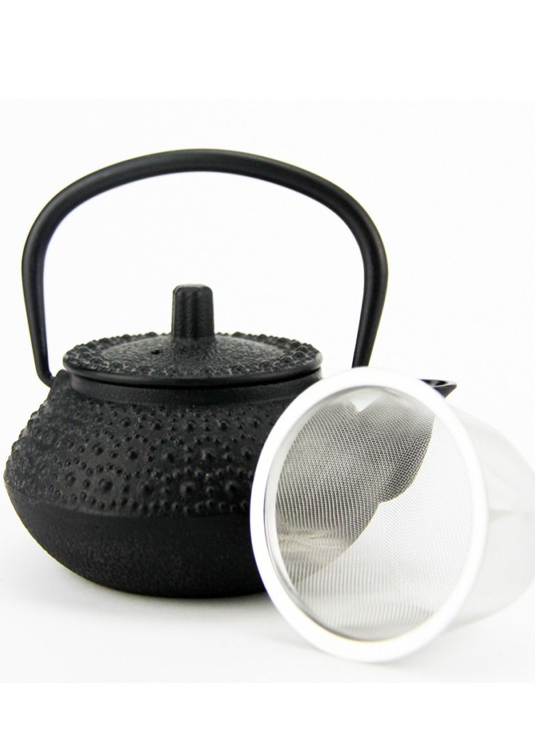 Durable And Long-lasting Cast Iron Teapot 0.3 Liter Black