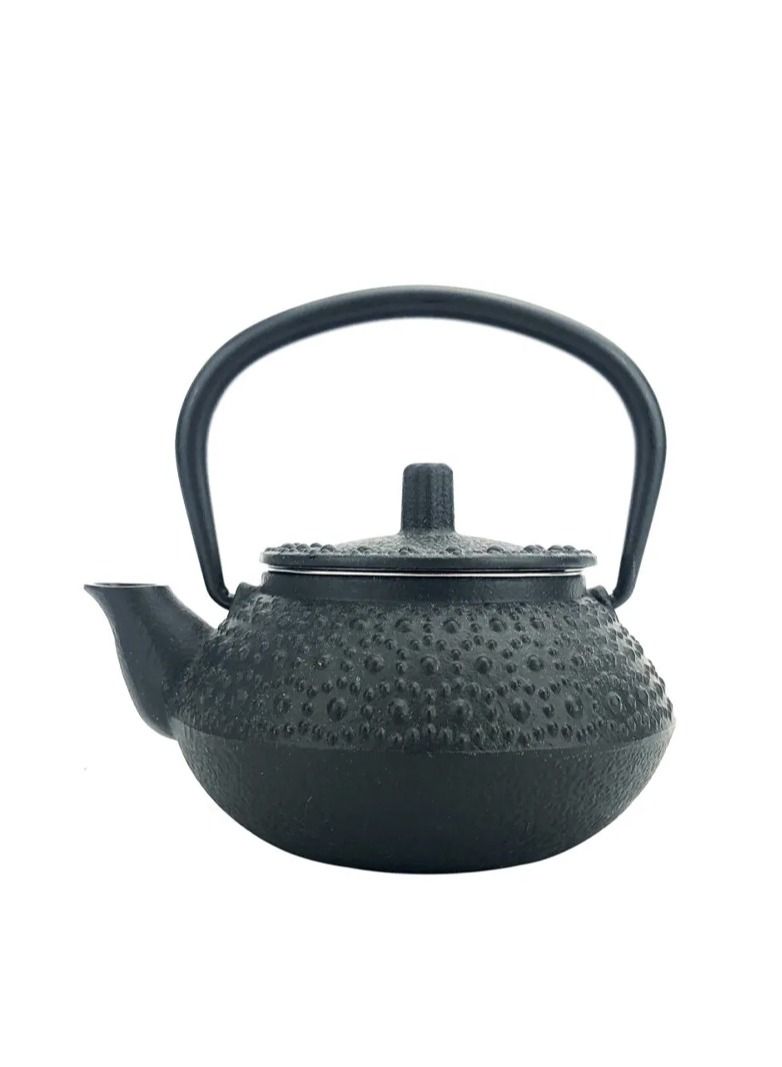 Durable And Long-lasting Cast Iron Teapot 0.3 Liter Black