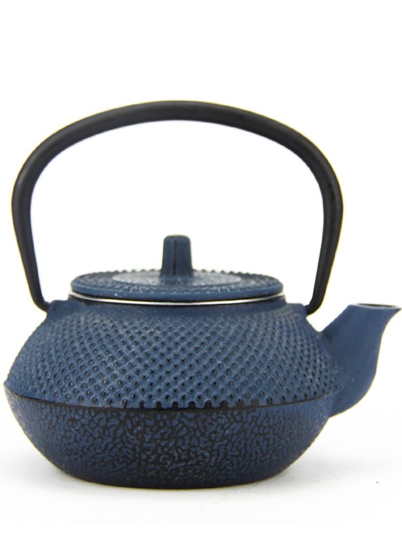 Durable Coated with Enamel Interior Cast Iron Teapot with Stainless Steel Infuser for Brewing Loose Tea Leaf 0.3 Litre Blue