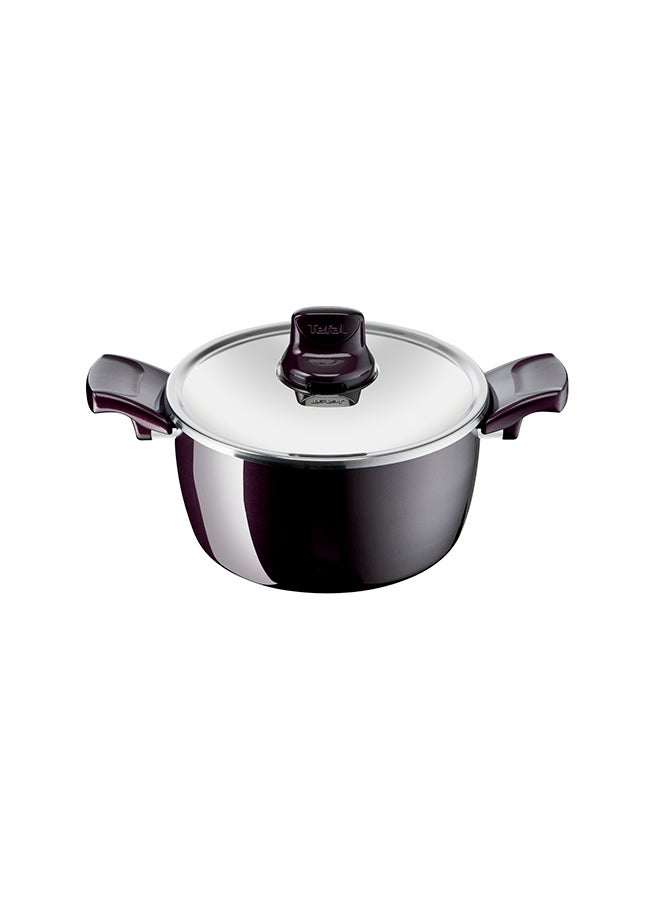 Non-Stick G6 Aluminium Resist Intense Stewpot With Ss Lid Red 22cm