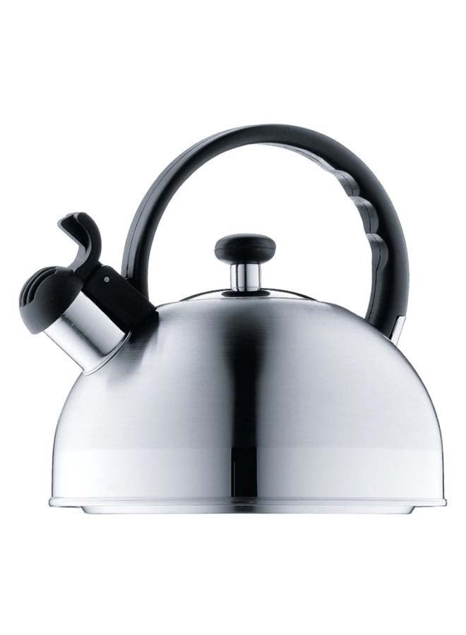 Rapid Heating Whistling Kettle Silver 21.8 x 22.6cm