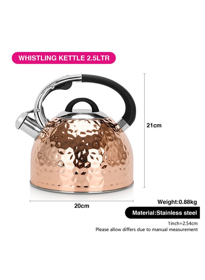 Whistling Kettle Nicole 2.5 Ltr Stainless Steel