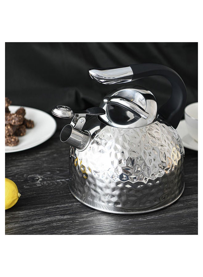 Whistling Kettle Anita 2.5 Ltr Stainless Steel