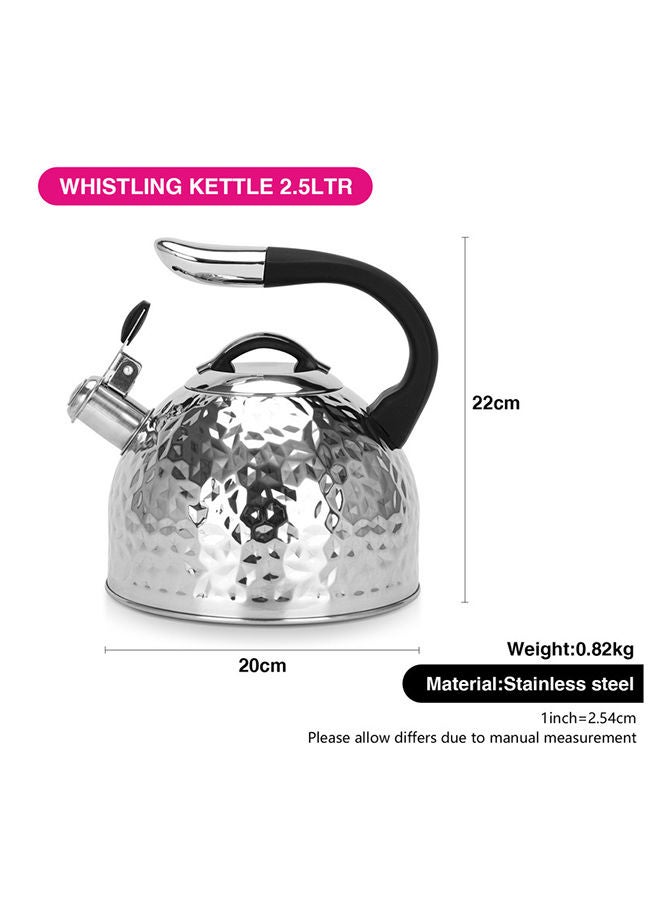 Whistling Kettle Anita 2.5 Ltr Stainless Steel