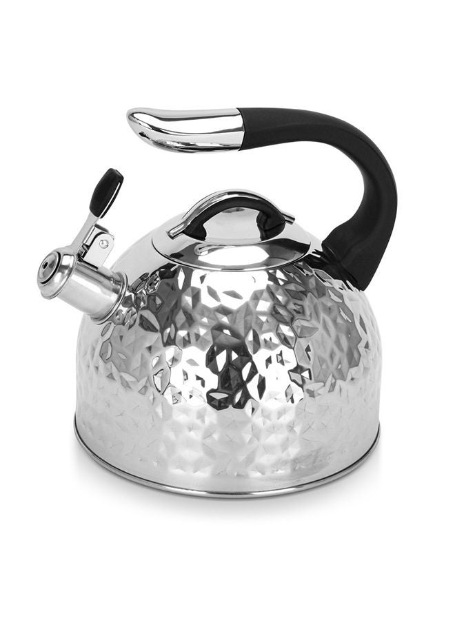 Whistling Kettle Anita 2.5 Ltr Stainless Steel