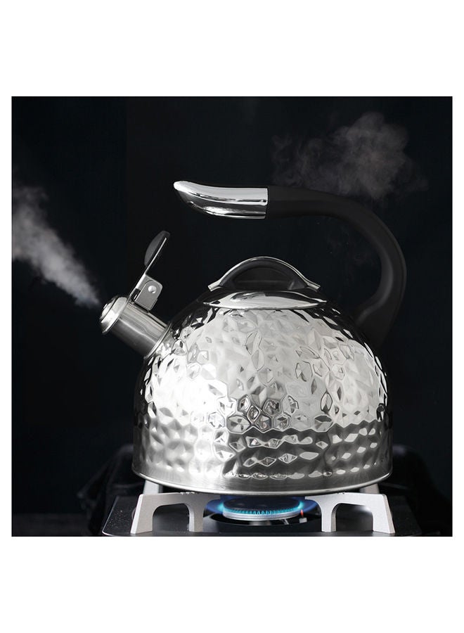 Whistling Kettle Anita 2.5 Ltr Stainless Steel