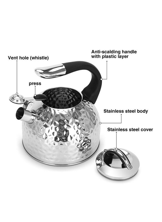 Whistling Kettle Anita 2.5 Ltr Stainless Steel