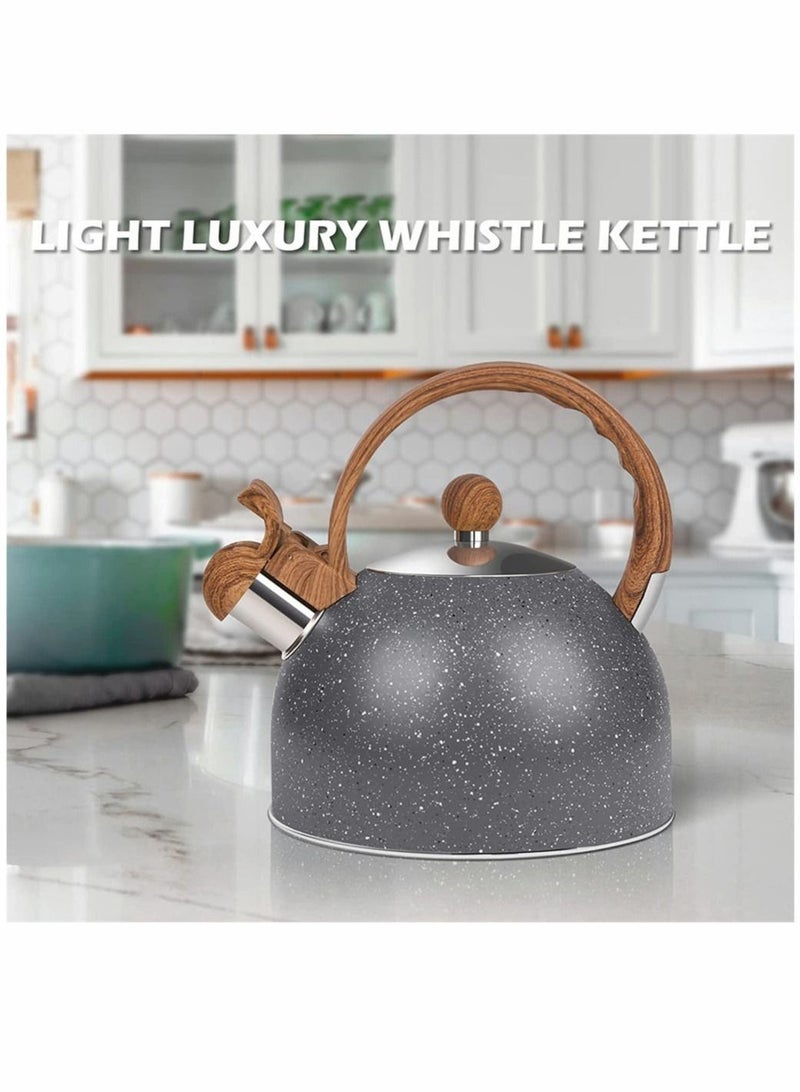 Tea Kettles Stainless Steel Whistling Teapot, 2.5 Quart Teapot Water Boilers for Stovetops, Induction Stone Kettle with Loud Whistle for Preparing Hot Water Fast for Coffee Tea, 1 Pcs, Grey