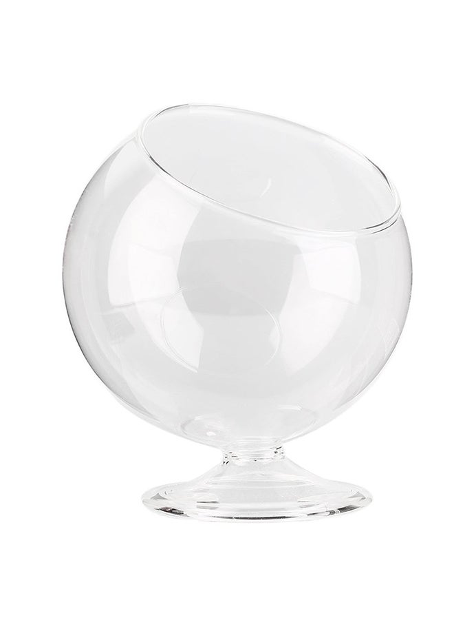 Round Borosilicate Glass Bottle Hydroponic Plant Vase Transparent 8centimeter