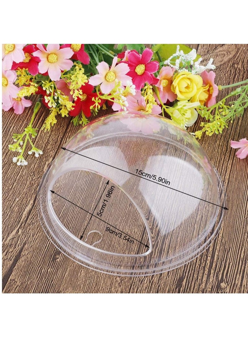 Set of 3 hanging acrylic fish plant tanks that are wall mounted Decorative Bowls for Accentuating Indoor Plants