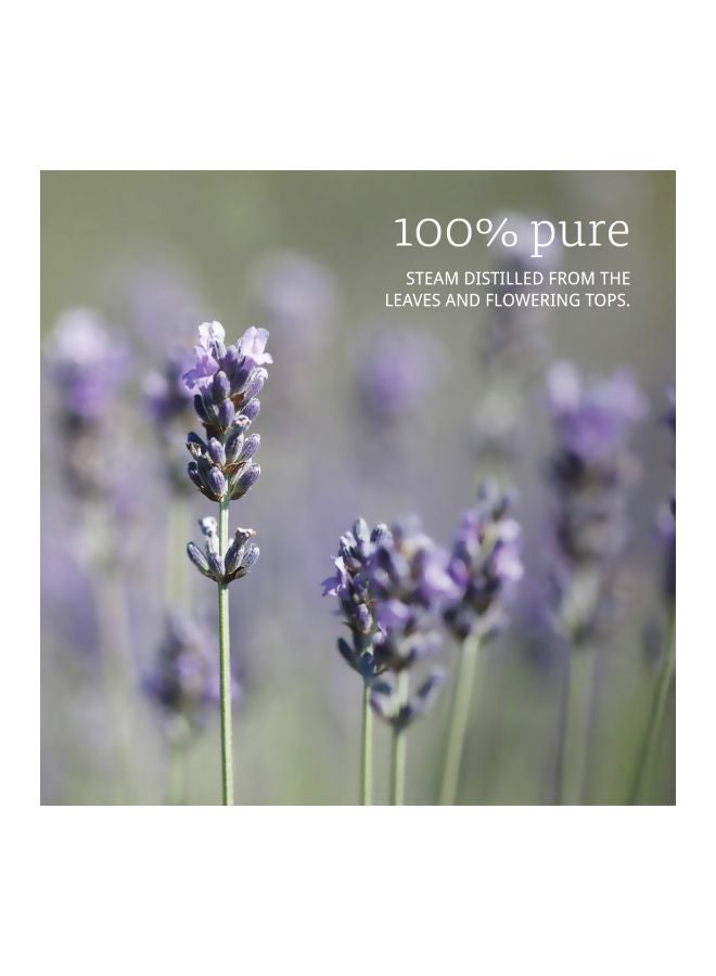 Lavender And Tea Tree Blend Essential Oil Clear 30ml