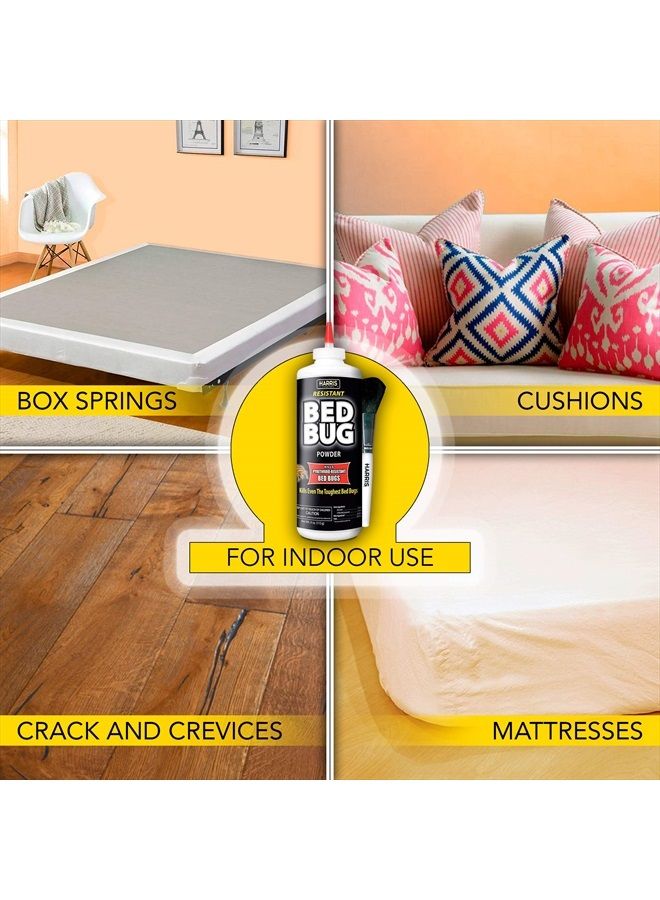 Bed Bug Killer Powder, 4oz with Application Brush