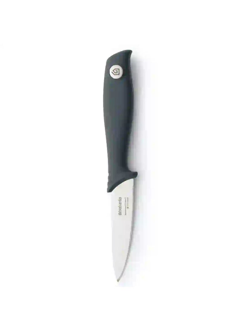 Tasty+ Steel Paring Knife (1 7 X 2 5 X 20 Cm)