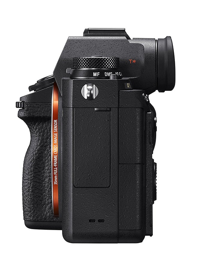 A9 24.2 MP Mirrorless Camera