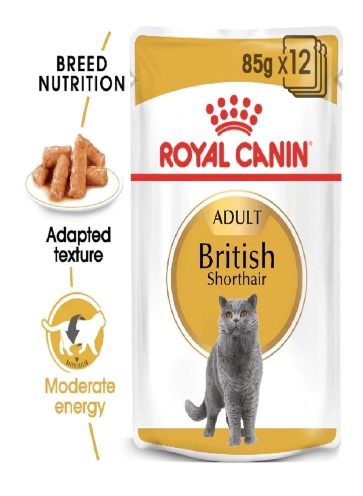 Royal Canin Feline Breed Nutrition British Shorthair Pouch
