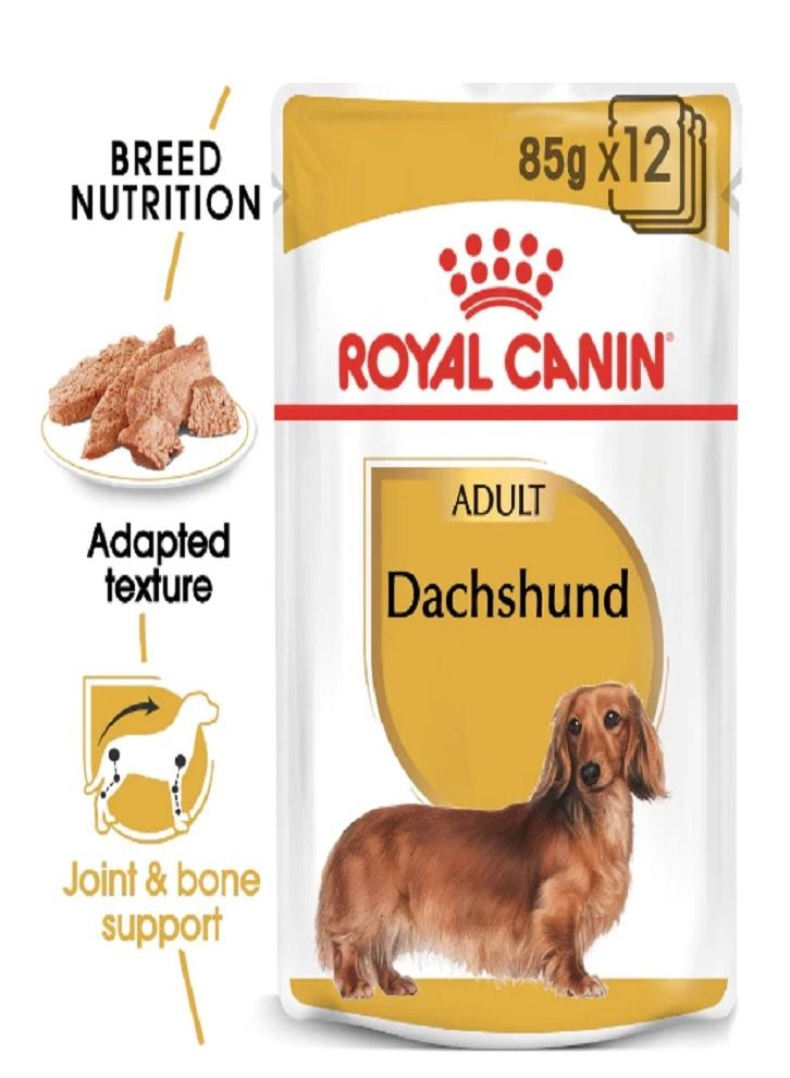 Royal Canin - Breed Health Nutrition Dachshund Adult Pouches