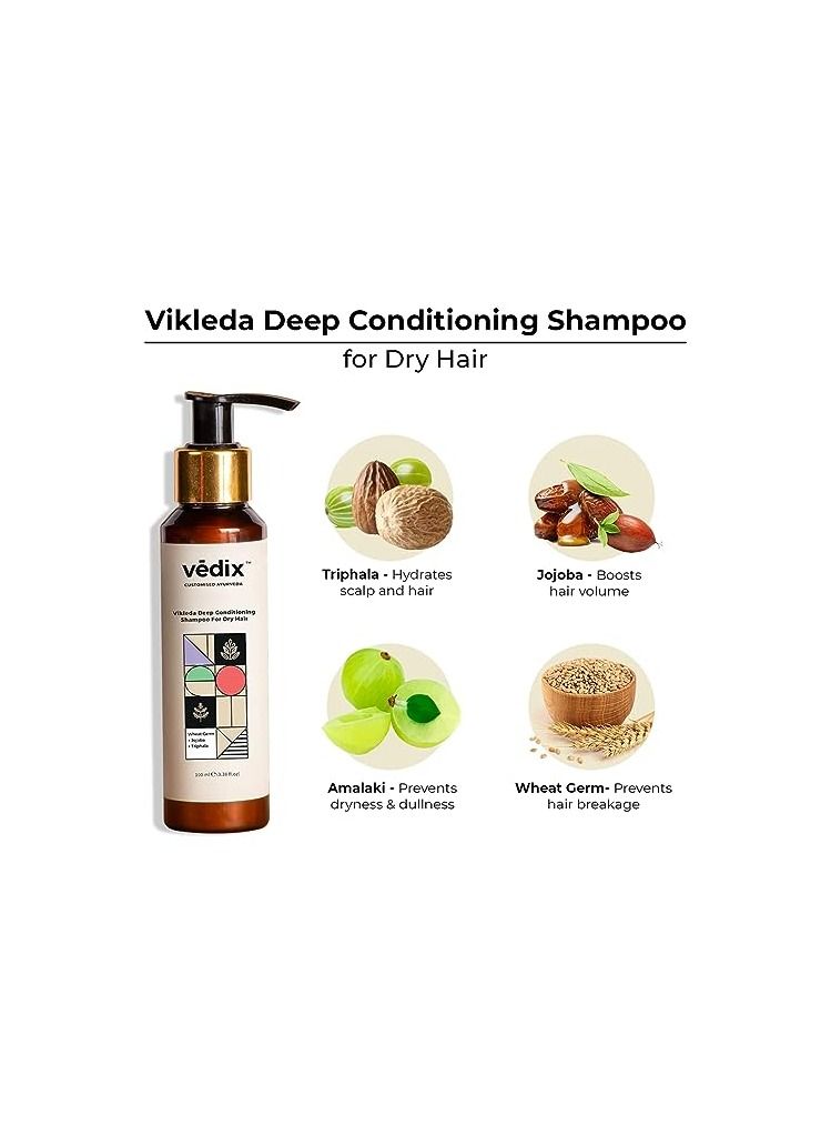 Vedix Customized Hair Fall Control Regimen for Dry Hair Oily Scalp 3 Product Kit Anti Hair Fall Oil Berberis + Banyan Anti-Hairfall Shampoo