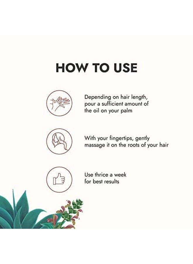 Tulsi Antihair Fall Oil (200 Ml) ; Visible Results In 2 Months ; 100% Ayurvedic With Tulsibased Actives