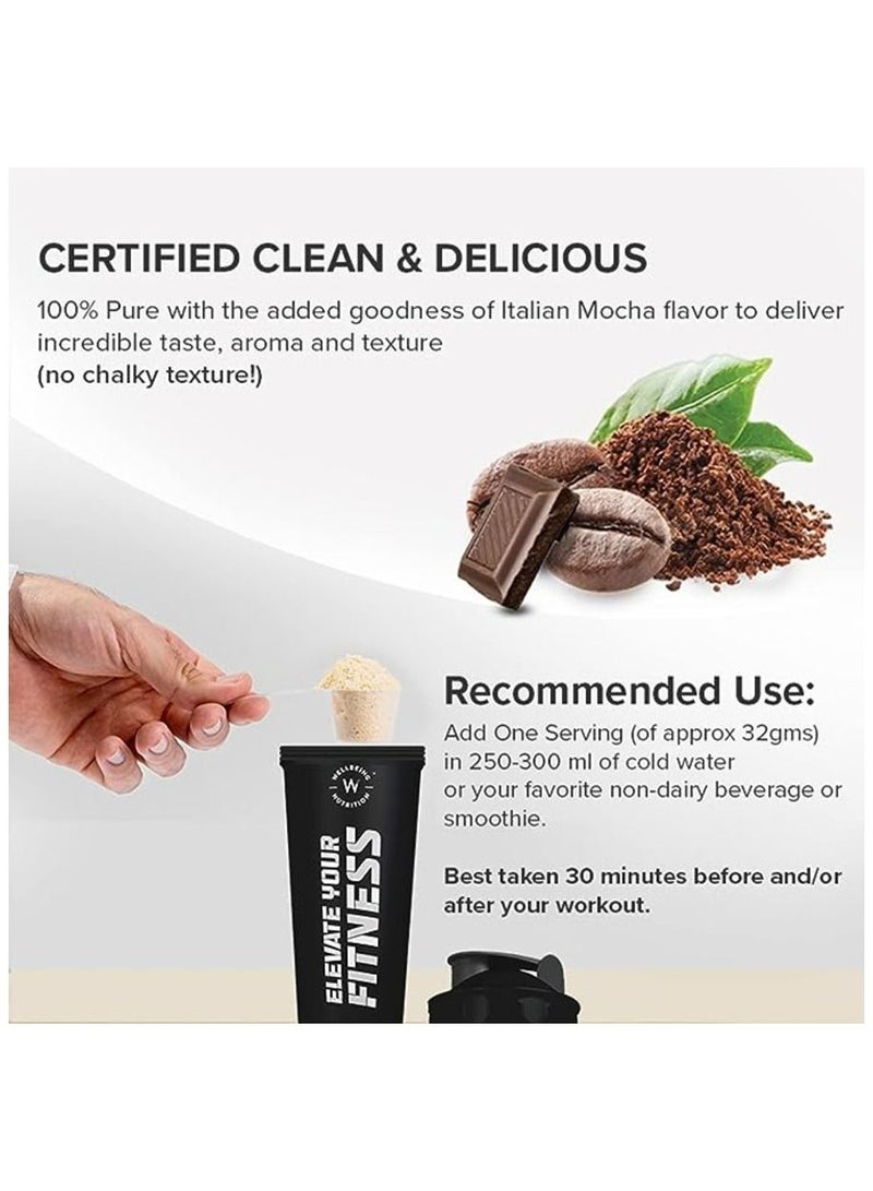 Organic Vegan Plant Protein Powder 22G European Pea Protein Isolate 5G Bcaa, Superfoods, Fiber For Muscle Growth, Italian Cafe Mocha 500Gm