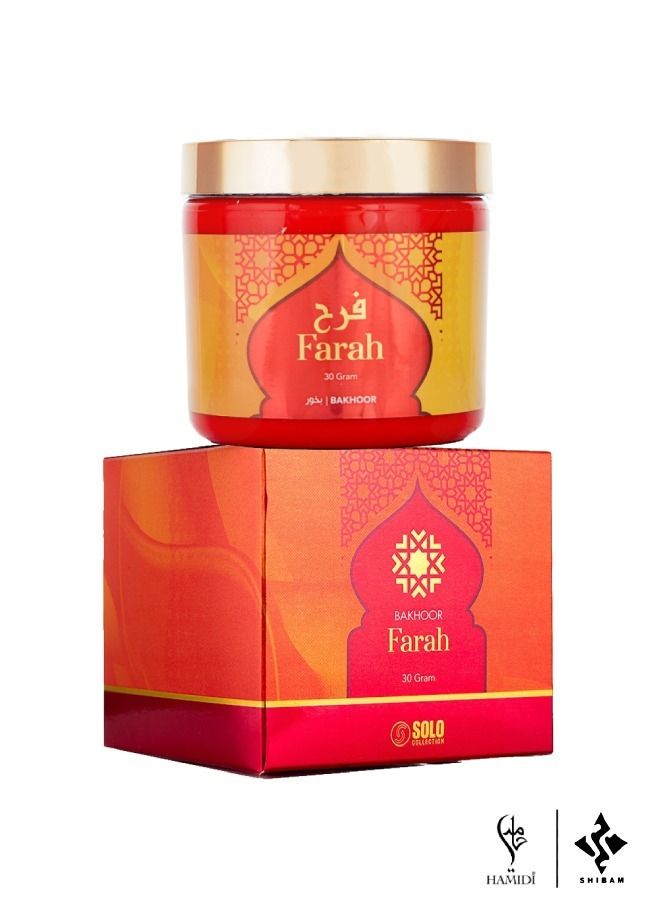 Exclusive Fragrance Luxury Gift Set - Oriental 30gm Bakhoor 10pcs Set Assorted
