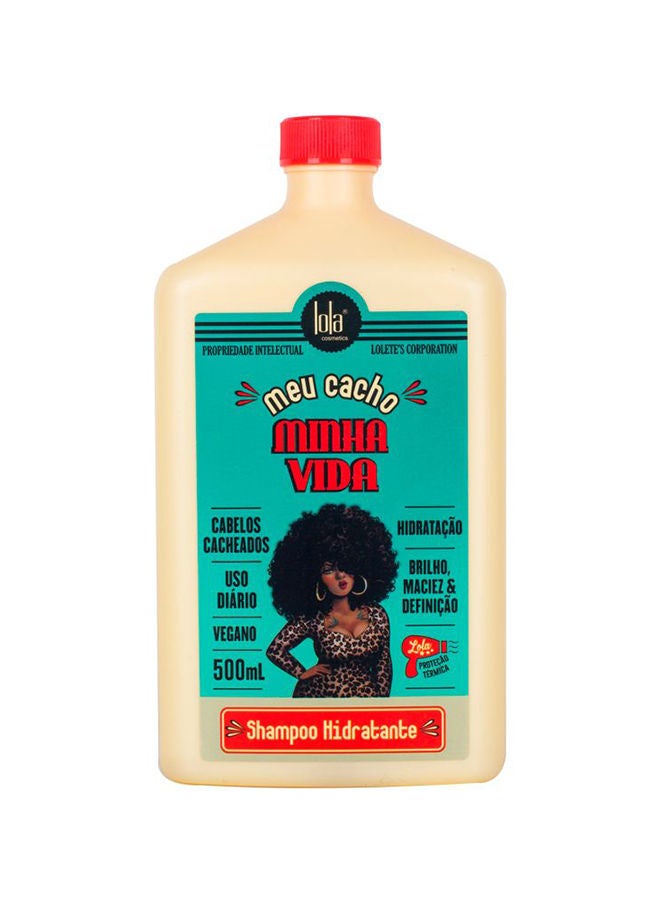 Meu Cacho Minha Vida Moisturizing Shampoo