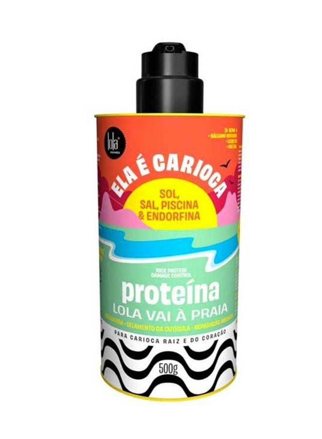 Ela E Carioca Rice Protein Damage Control
