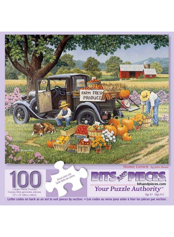 100 Piece Big Piece Jigsaw Puzzle For Seniors 15