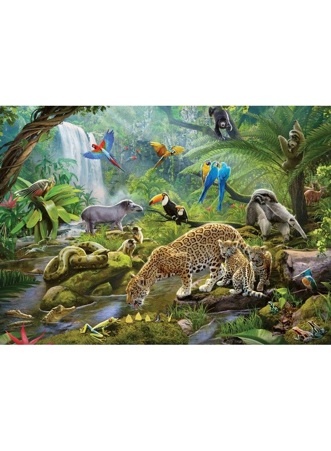 Rainforest Animals 60 Piece Jigsaw Puzzle For Kids 05166 Every Piece Is Unique Pieces Fit Together Perfectly 14 X 10 Inches (36 X 26 Cm).