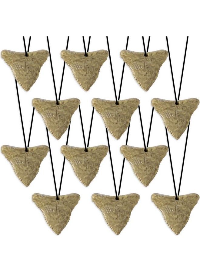 Prehistoric Shark Tooth Necklaces Set Of 12 Rubber Shark Tooth With A Striking Aged Look Shark And Dinosaur Party Favors For Kids Fun Goodie Bag Fillers For Boys And Girls