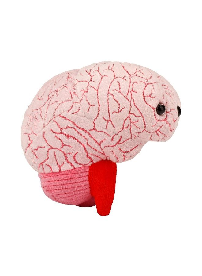 Giantmicrobes Brain Organ Plush Adorably Realistic Plush Brain Organ Educational Biology Gift Great Tool For Educators Excellent Gift For Doctors Nurses Teachers And Scientists