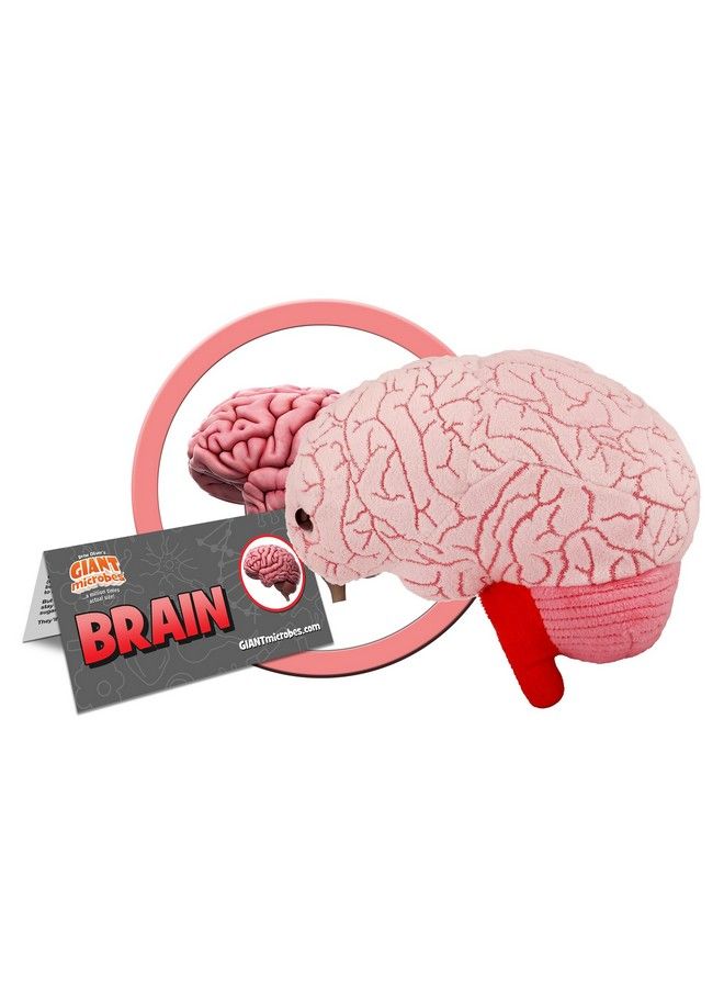 Giantmicrobes Brain Organ Plush Adorably Realistic Plush Brain Organ Educational Biology Gift Great Tool For Educators Excellent Gift For Doctors Nurses Teachers And Scientists