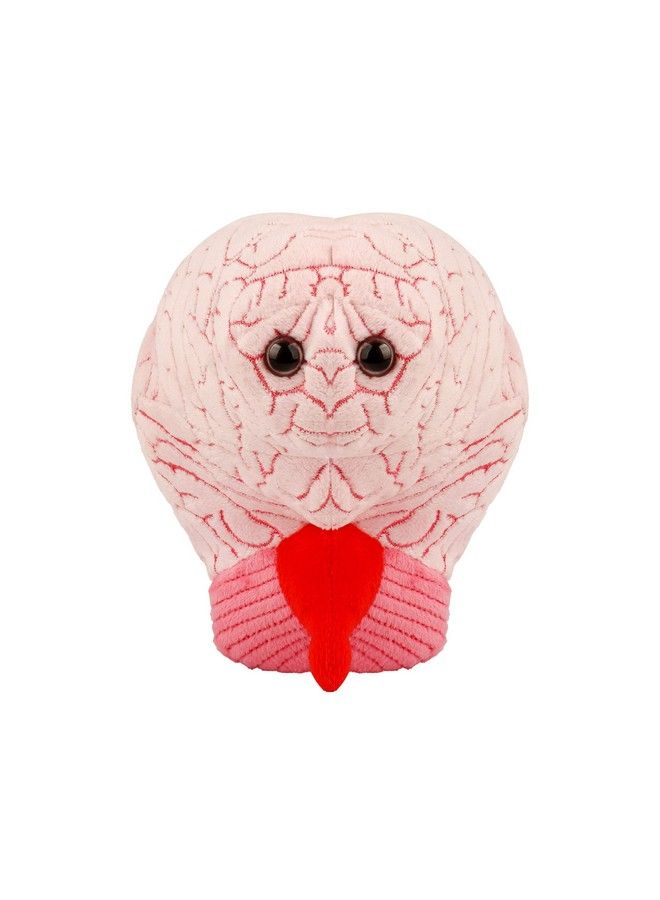 Giantmicrobes Brain Organ Plush Adorably Realistic Plush Brain Organ Educational Biology Gift Great Tool For Educators Excellent Gift For Doctors Nurses Teachers And Scientists