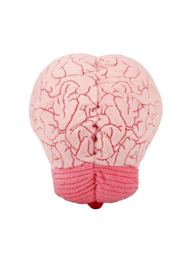 Giantmicrobes Brain Organ Plush Adorably Realistic Plush Brain Organ Educational Biology Gift Great Tool For Educators Excellent Gift For Doctors Nurses Teachers And Scientists