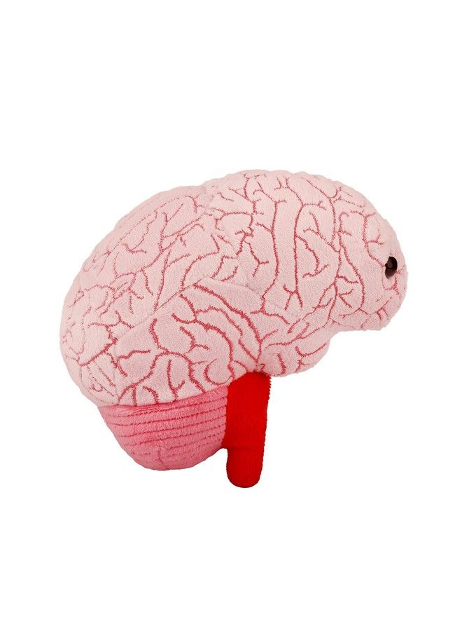 Giantmicrobes Brain Organ Plush Adorably Realistic Plush Brain Organ Educational Biology Gift Great Tool For Educators Excellent Gift For Doctors Nurses Teachers And Scientists