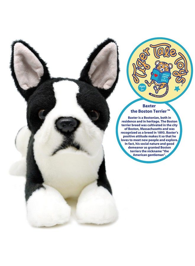 Baxter The Boston Terrier 12 Inch Stuffed Animal Plush Dog By Tiger Tale Toys