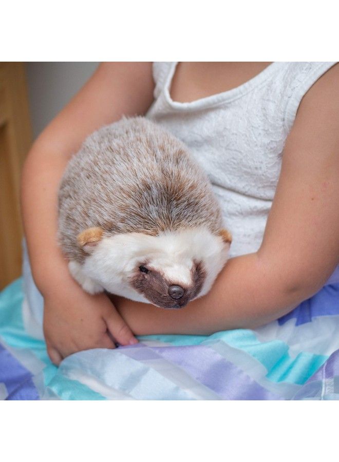 Huddled Small Hedgehog Wispy Chestnut Children'S Plush Stuffed Animal