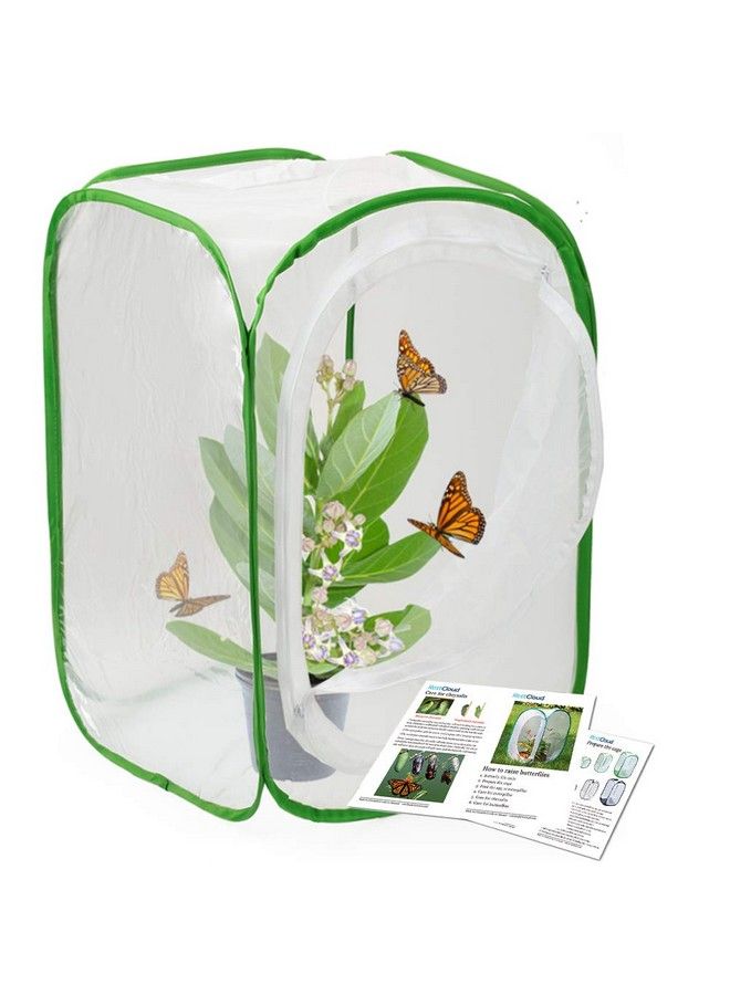 Insect And Butterfly Habitat Cage Terrarium Pop Up 24 Inches Tall With Zipper Protection