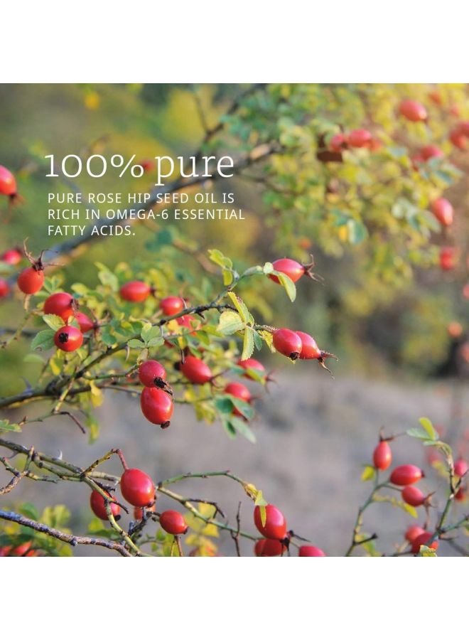 Rose Hip Seed Oil 30ml