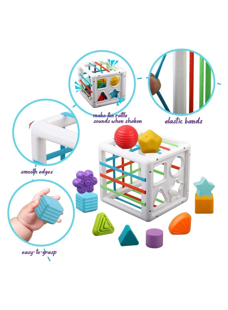 Multi Sensory Shape, DMG Baby Sorter Toy, Activity Cube Bins, Montessori Educational Learning Fine Motor Skills Toys, Toys 6-12-18 Months Boys Girls Gifts