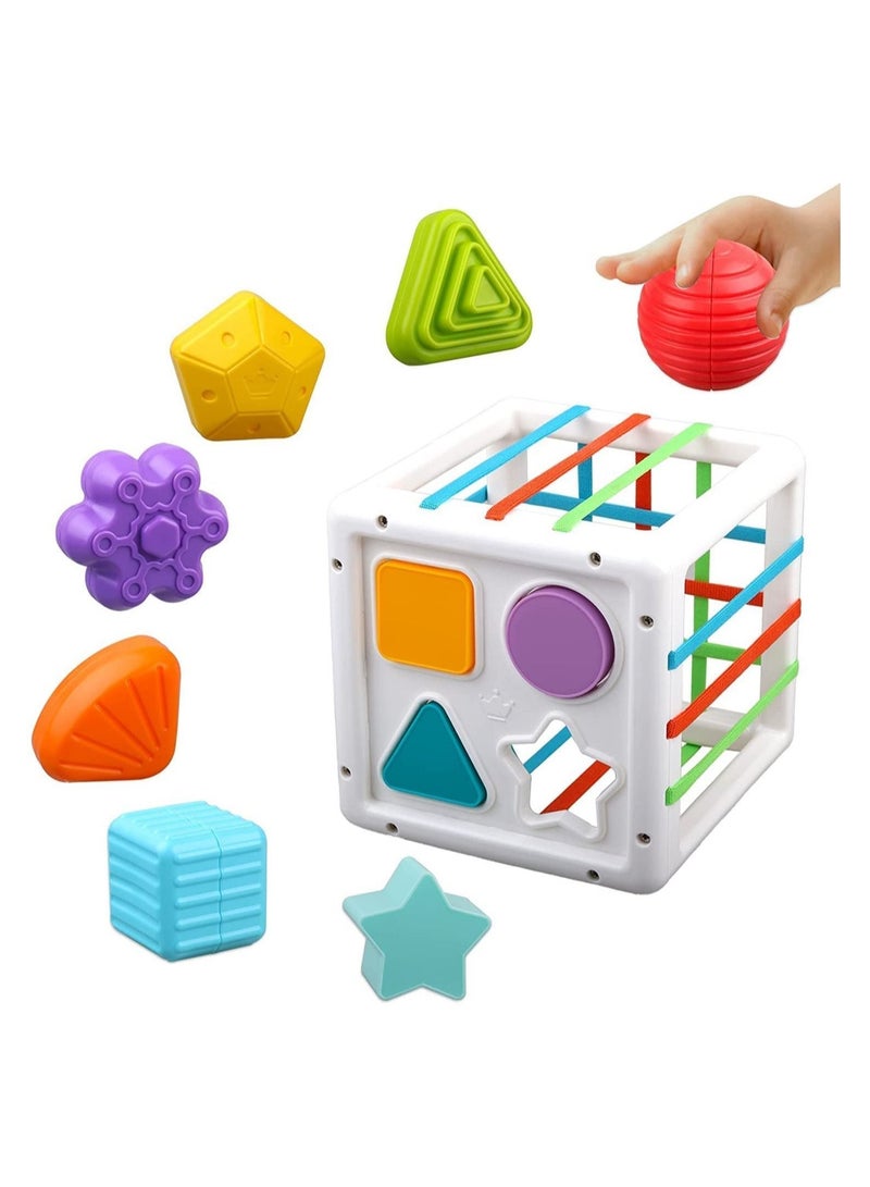 Multi Sensory Shape, DMG Baby Sorter Toy, Activity Cube Bins, Montessori Educational Learning Fine Motor Skills Toys, Toys 6-12-18 Months Boys Girls Gifts