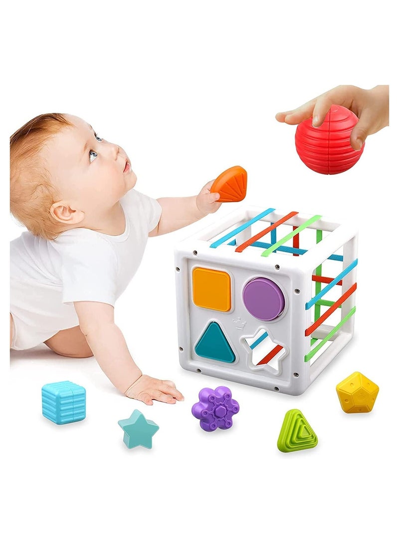 Multi Sensory Shape, DMG Baby Sorter Toy, Activity Cube Bins, Montessori Educational Learning Fine Motor Skills Toys, Toys 6-12-18 Months Boys Girls Gifts