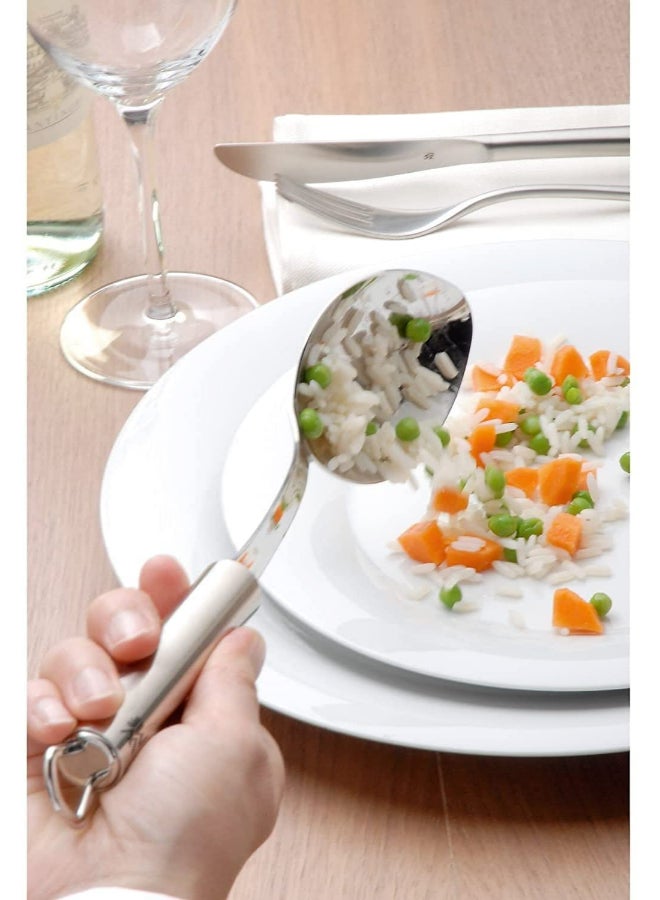 Profi Plus Serving Spoon Silver 32cm