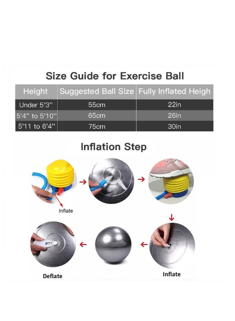 Jinara Gym Ball Exercise Ball, Anti-Burst Yoga Ball with Quick Pump, 65cm Thick Balance Ball Chair for Birthing Fitness Workout Stability Pilates, Gym & Home